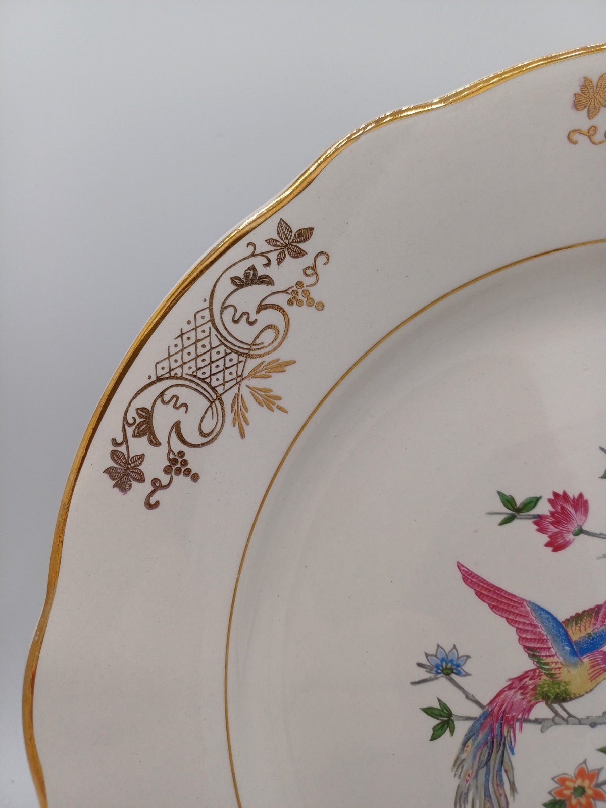 Lot de 24 Assiettes Plates en Porcelaine – Manufacture Lunéville – Décor Floral AR CONCEPT