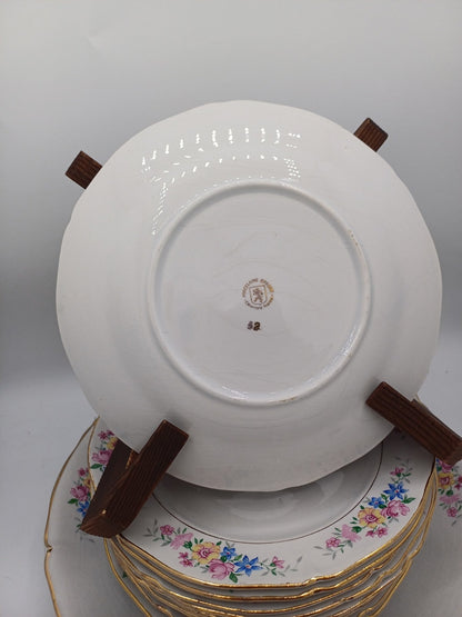 Lot de 11 Assiettes à Dessert + 1 Plat à Gâteau – Porcelaine Opaque – Céranord AR CONCEPT